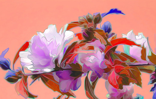 898767 (a): :2560x1616